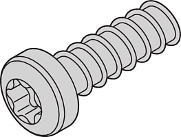 24560-157, Винт TORX, Schroff, M2,5x7,3